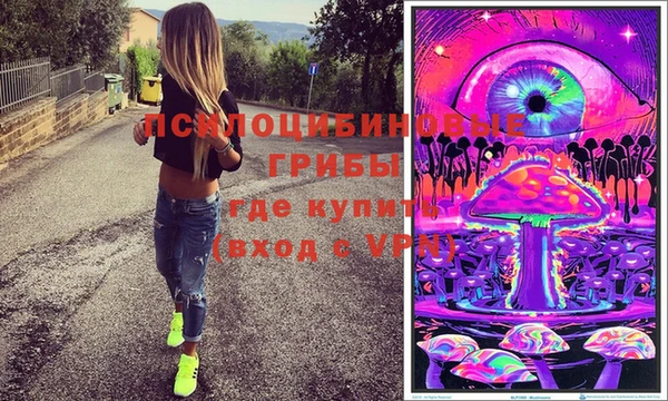 PSILOCYBIN Волоколамск