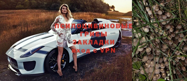 PSILOCYBIN Волоколамск