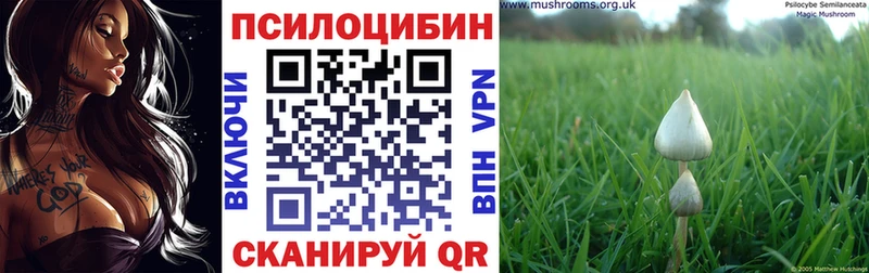 Псилоцибиновые грибы мухоморы  наркотики  Игарка 